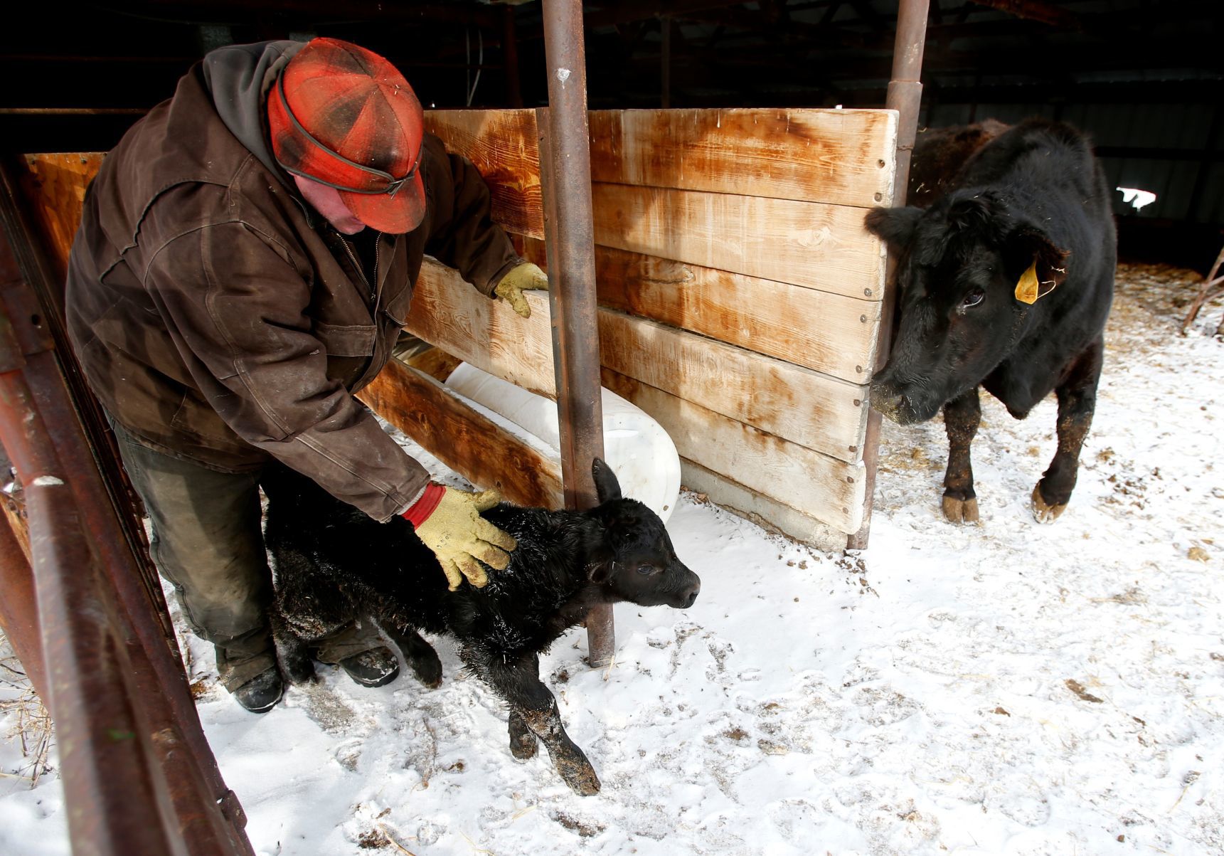 Ballantine rancher Dean Becker